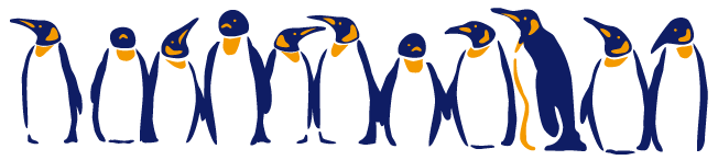 Octavia Siertsema inkoop coaching en training: interessante links